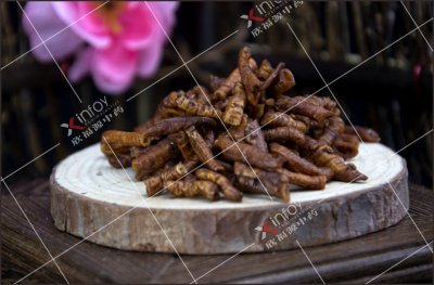蜜遠志