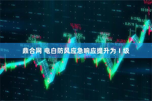 鼎合网 电白防风应急响应提升为Ⅰ级