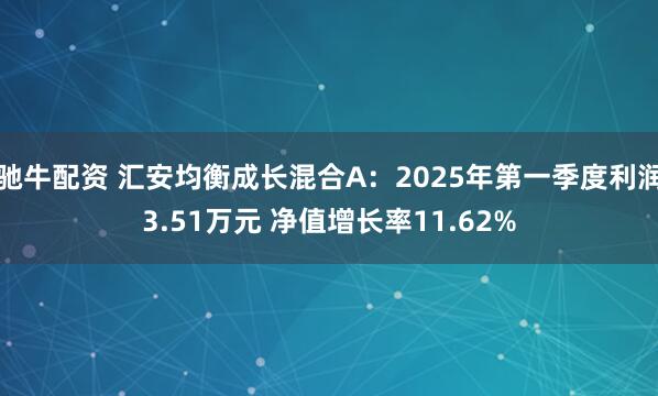 驰牛配资 汇安均衡成长混合A：2025年第一季度利润3.51万元 净值增长率11.62%