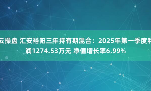 云操盘 汇安裕阳三年持有期混合：2025年第一季度利润1274.53万元 净值增长率6.99%