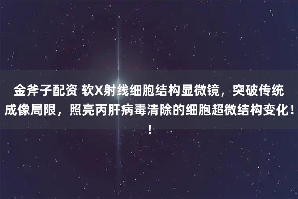 金斧子配资 软X射线细胞结构显微镜，突破传统成像局限，照亮丙肝病毒清除的细胞超微结构变化！