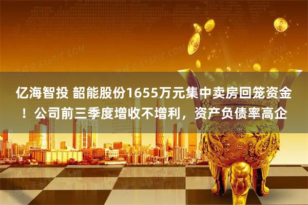 亿海智投 韶能股份1655万元集中卖房回笼资金！公司前三季度增收不增利，资产负债率高企