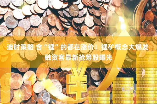 迪时策略 含“锂”的都在涨价！锂矿概念大爆发 融资客最新抢筹股曝光